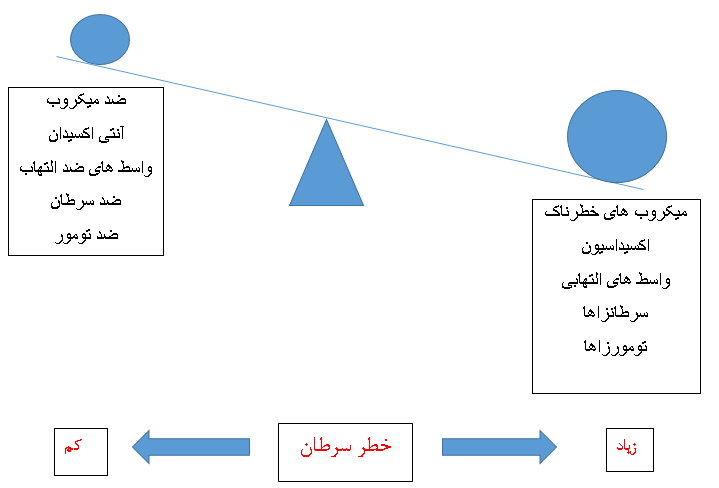 ادویه ها و سرطان